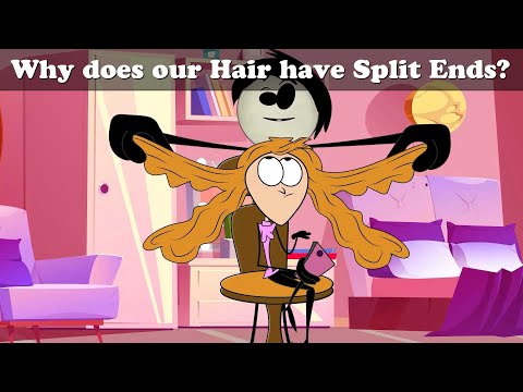 Why do we get Split Ends? | #aumsum #kids #cartoon #whatif
