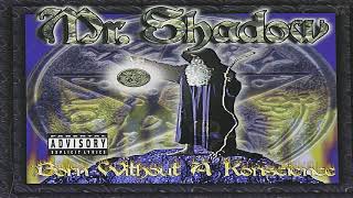 16.- MR. Shadow // Shaking In Your Bootz // Born Without A Konscience
