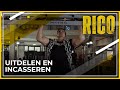 'BESTE VECHTER ter wereld gecreëerd!' | RICO