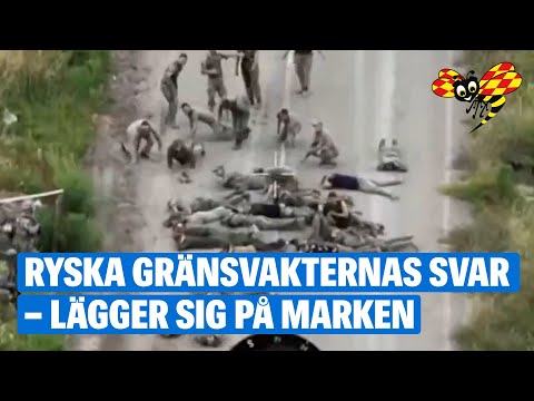 Här kapitulerar ryssarna i Kursk – lägger sig på marken