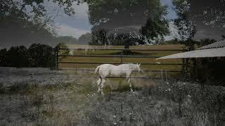 Drowse – “Untrue in Headphones”