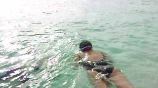 At Water Cay Utila Bay Islands Video