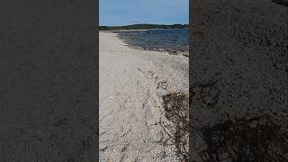 Download lagu Beach cuvi mp3