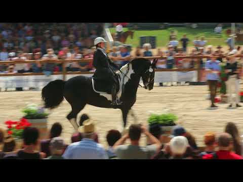 GUGUNAVA,ANNA 921, GEO - World Championship Working Equitation 2018