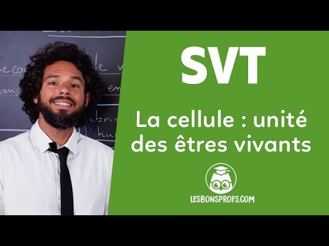 La cellule, unité des êtres vivants