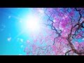 Snatam Kaur ~ Long Time Sun (Children's Version)