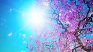 Snatam Kaur ~ Long Time Sun (Children&#39;s Version)