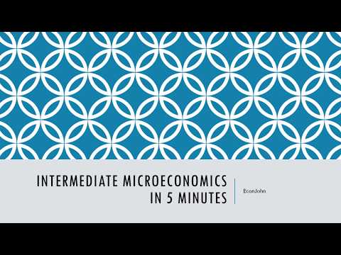 Part of a video titled Intermediate Microeconomics in 5 minutes - YouTube