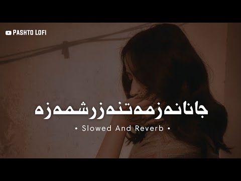 Janaan [ Slowed+Reverb ] Janana Zama Tana Zar Shama Za | Shan Khan | Pashto Lofi