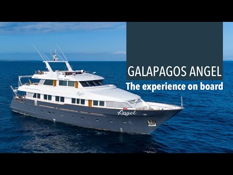 Cruise video 1