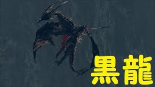 【ダクソ】パート２０「竜に挑むは騎士の誉れ」【ダークソウルリマスター】