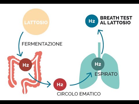 Come si esegue un breath test a domicilio – tutorial MEDyLAB