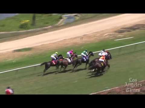 Obviously cruises to victory in American Handicap