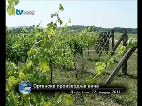 Органска производња вина