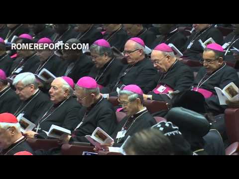 Apoyo unánime al documento del Sínodo, excepto en tres puntos