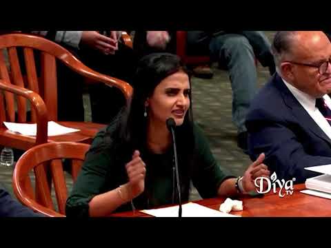 RAW: Full Hima Kolanagireddy testimony before Michigan House alleging election fraud | Diya TV