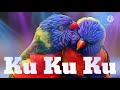 Love Status Koyal Si Teri Bholi Ku Ku Ku Piyar Status