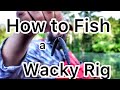 How To Fish A Wacky Rig And Other Details About A Senko