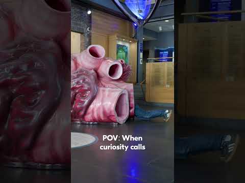 Curiosity Calls: Blue Whale Heart