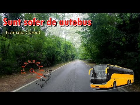 Formatia Curnut (Группа Курнуц) - Sint sofer de autobus, cintece moldovenesti #curnut #курнуц