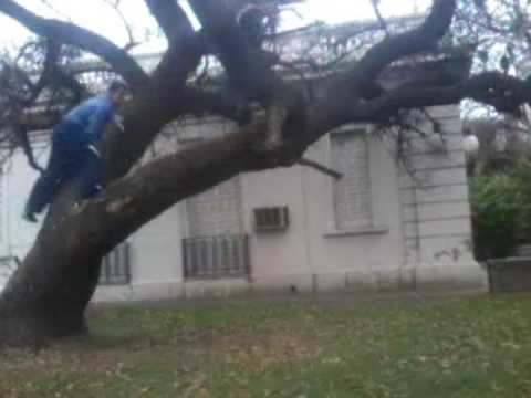 PARKOUR FOR LIFE 2016