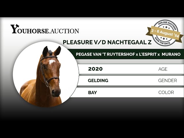 Pleasure v/d Nachtegaal Z