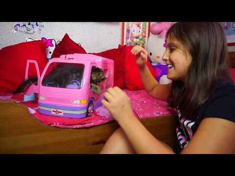 Speciale 10000 iscritti con la mia gatta!