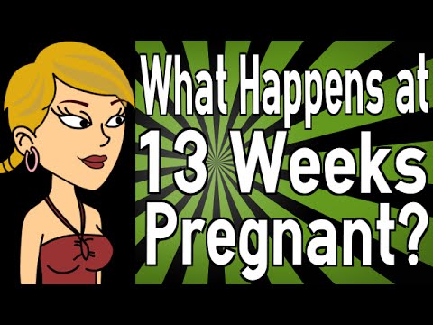 What Happens at 13 Weeks Pregnant?
