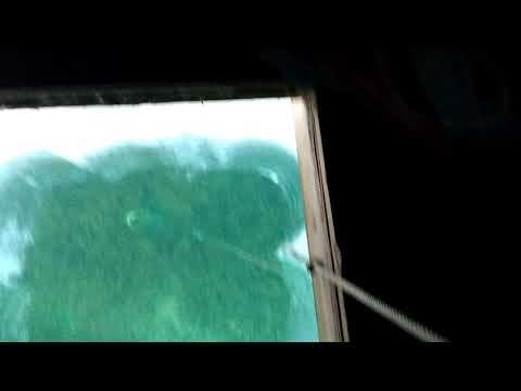 10 pound northern pike