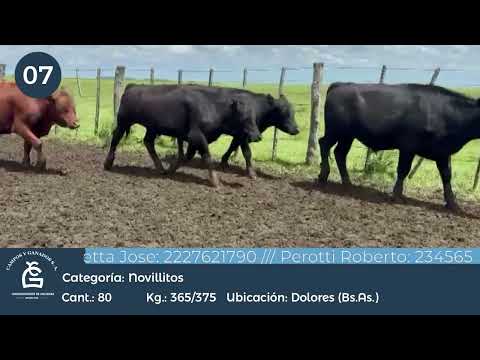 Lote Nll Inv - Dolores Bs As