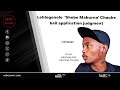 Lehlogonolo Shebe Maburna Chauke Bail Application Judgment