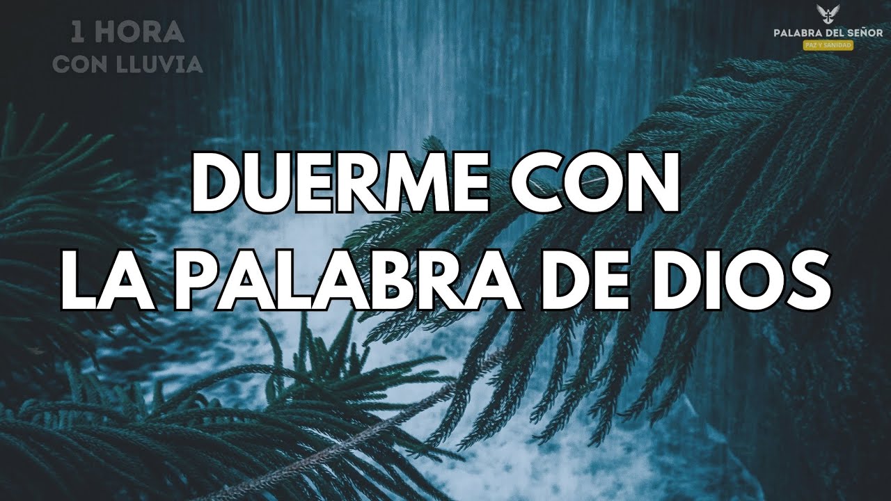 LOGRÉ LA PAZ EN MIS NOCHES CON ESTOS PODEROSOS SALMOS VERSICULOS + SONIDO DE LLUVIA -  BIBLIA AUDIO