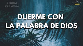 LOGRÉ LA PAZ EN MIS NOCHES CON ESTOS PODEROSOS SALMOS VERSICULOS + SONIDO DE LLUVIA -  BIBLIA AUDIO