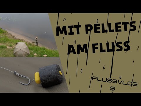 Fluss-Vlog 5 - Mit Pellets am Fluss | Karpfenangeln im Fluss