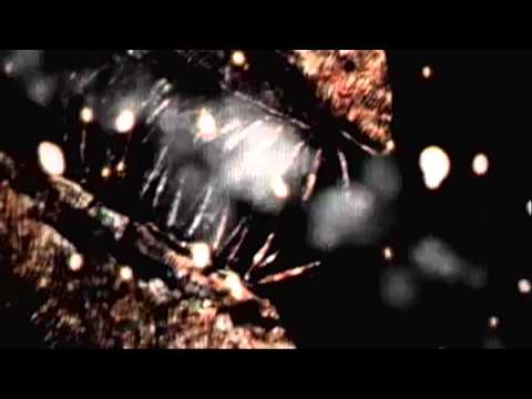 DJ Max Portable 3 - Rage Of Demon by NieN