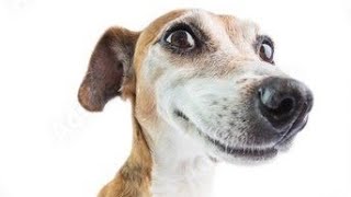 clear eyes - aidan swank &amp; bleachblonde (tik tok remix ig)