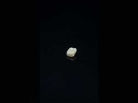 YouTube 썸네일