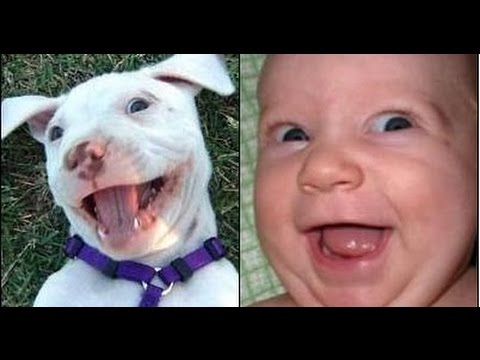 I'll be Doggone- People really do look like their dogs!