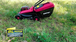 Сordless Lawn Mower WORTEX CLM 3336