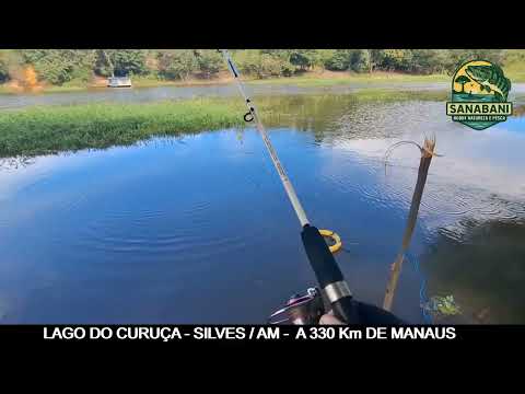LAGO DO CURUÇA - SILVES/AMAZONAS 2026