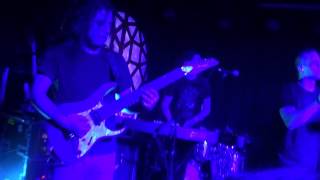 The Contortionist -- Thrive -- Live -