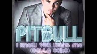 Pitbull Ft. Nelly - My Kinda Girl