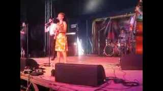 Flap! - Tetris @ The Playground Stage, Rainbow Serpent Festival 2014