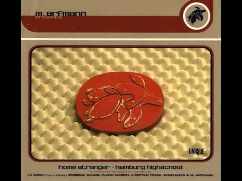 Matthias Arfmann - Home Stranger