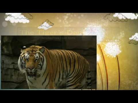 February 14th Trade What You See with Larry Pesavento on TFNN - 2017