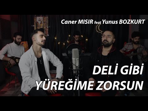Caner Mısır - Deli Gibi Yüreğime Zorsun feat Yunus Bozkurt (Yiğit Mahzuni Cover)
