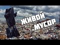 Живой мусор | Garbage Alive Prank 