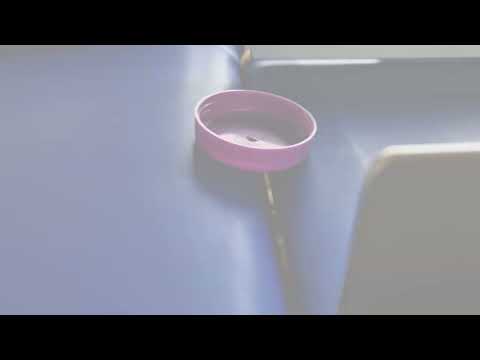 Nastro trasportatore con rullo a penna Conveyor belt with nose roller