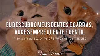 Download lagu Learn To Meow by Xiao Pan Pan & Xiao Feng Feng [Lyrics & Portuguese] ~ Tami Music mp3