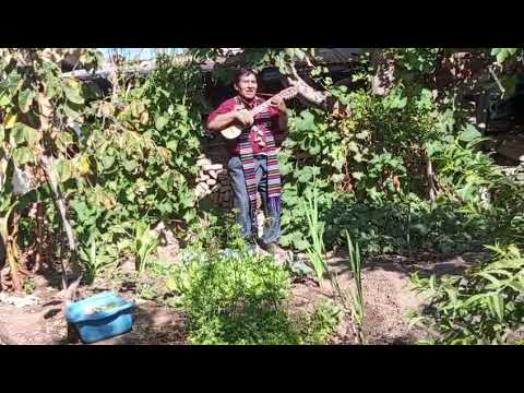 Un saludo a la distancia a todos mis seguidores desde Pocoata. Potosí